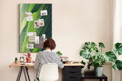 Prikbord van kurk Natuurlijke landschapslijnen