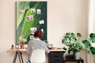 Prikbord van kurk Natuurlijke landschapslijnen