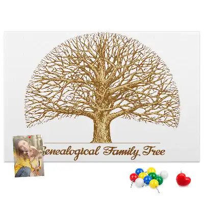 Kurk prikbord Oude stamboom