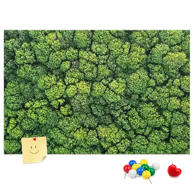 Memobord van kurk Bos in vogelvlucht