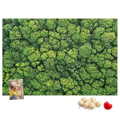 Memobord van kurk Bos in vogelvlucht