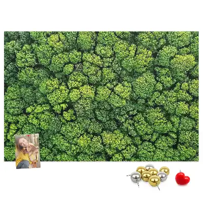 Memobord van kurk Bos in vogelvlucht