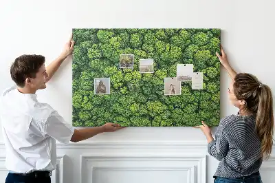 Memobord van kurk Bos in vogelvlucht