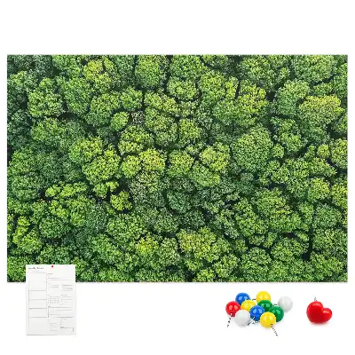 Memobord van kurk Bos in vogelvlucht