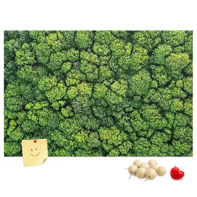 Memobord van kurk Bos in vogelvlucht
