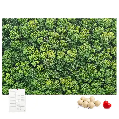 Memobord van kurk Bos in vogelvlucht