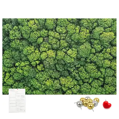 Memobord van kurk Bos in vogelvlucht