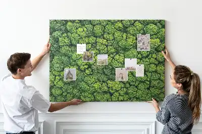 Memobord van kurk Bos in vogelvlucht