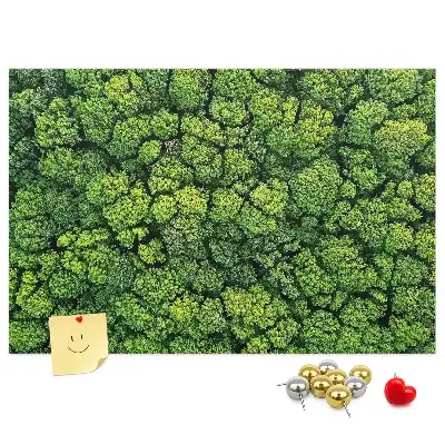 Memobord van kurk Bos in vogelvlucht