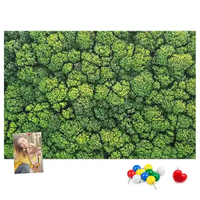 Memobord van kurk Bos in vogelvlucht