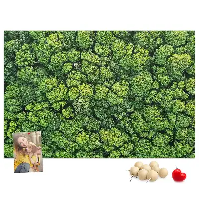 Memobord van kurk Bos in vogelvlucht