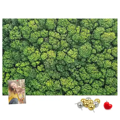 Memobord van kurk Bos in vogelvlucht