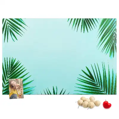 Kurk prikbord Regenwoud wandbotanica