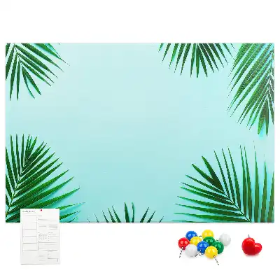 Kurk prikbord Regenwoud wandbotanica