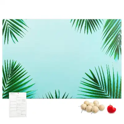 Kurk prikbord Regenwoud wandbotanica
