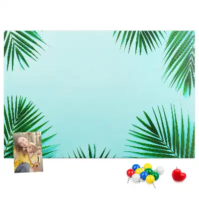 Kurk prikbord Regenwoud wandbotanica