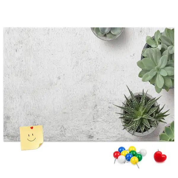 Kurk prikbord Decoratieve planten