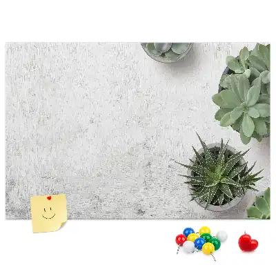 Kurk prikbord Decoratieve planten