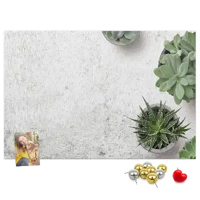 Kurk prikbord Decoratieve planten
