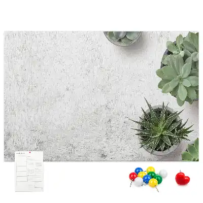 Kurk prikbord Decoratieve planten