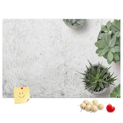 Kurk prikbord Decoratieve planten