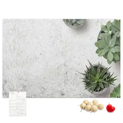 Kurk prikbord Decoratieve planten