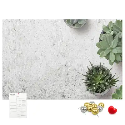 Kurk prikbord Decoratieve planten