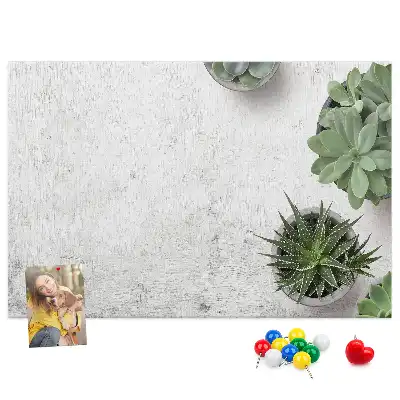 Kurk prikbord Decoratieve planten