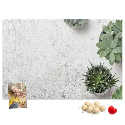 Kurk prikbord Decoratieve planten