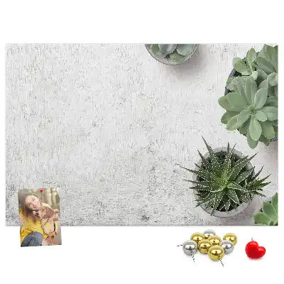Kurk prikbord Decoratieve planten