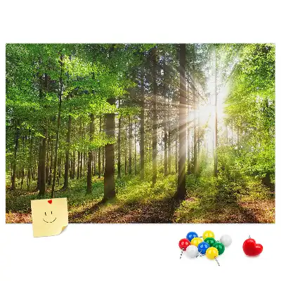 Kurk prikbord met bos zonsopgang print