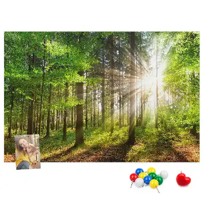 Kurk prikbord Bos zonsopgang