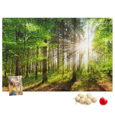 Kurk prikbord Bos zonsopgang