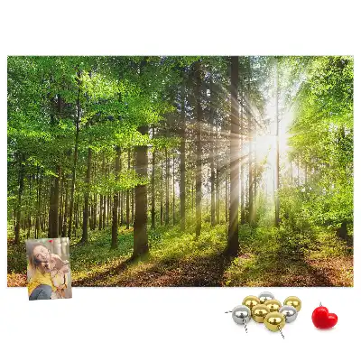 Kurk prikbord Bos zonsopgang