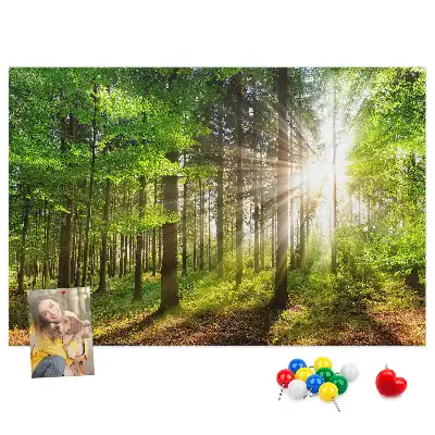 Kurk prikbord Bos zonsopgang