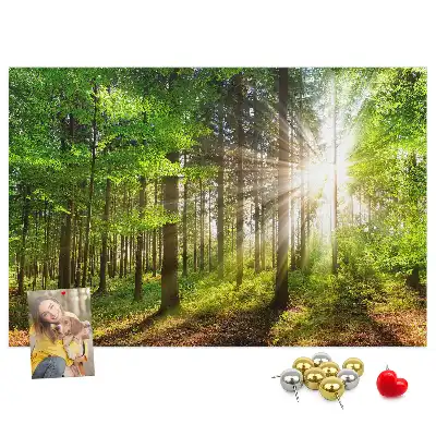 Kurk prikbord Bos zonsopgang