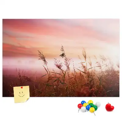 Kurk prikbord Mistige ochtend