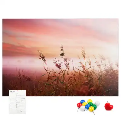 Kurk prikbord Mistige ochtend