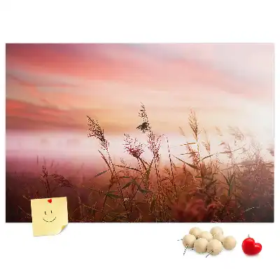 Kurk prikbord Mistige ochtend
