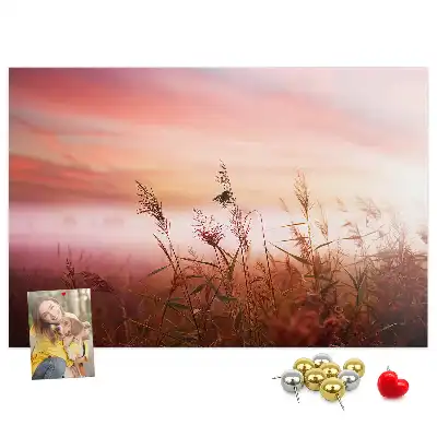 Kurk prikbord Mistige ochtend