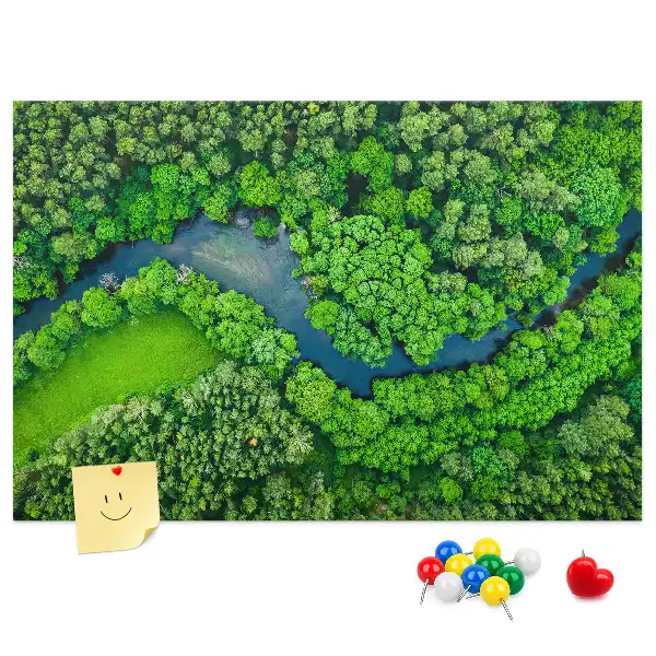 Kurk prikbord Rivier in het bos