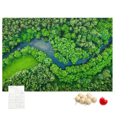 Kurk prikbord Rivier in het bos