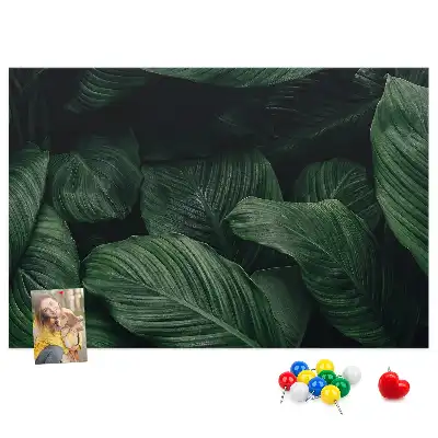 Memobord van kurk Tropische monstera
