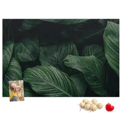 Memobord van kurk Tropische monstera