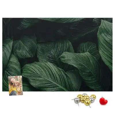 Memobord van kurk Tropische monstera