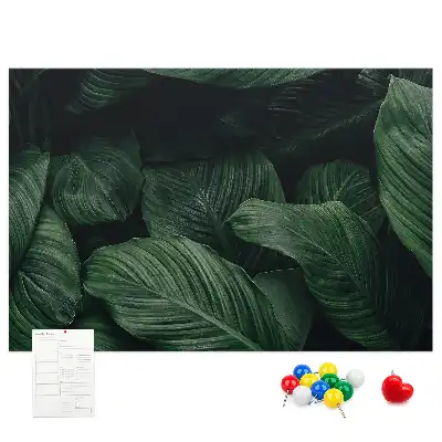 Memobord van kurk Tropische monstera