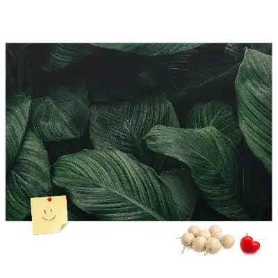 Memobord van kurk Tropische monstera