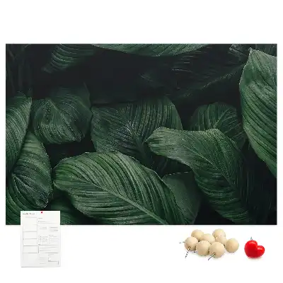 Memobord van kurk Tropische monstera