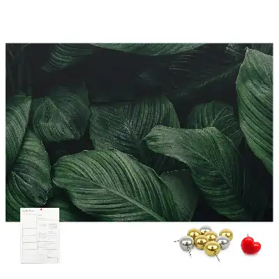 Memobord van kurk Tropische monstera