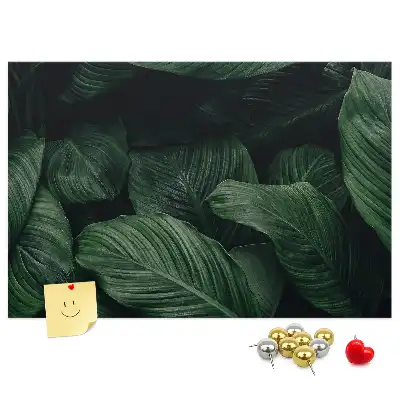 Memobord van kurk Tropische monstera